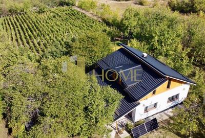Casa vacanta, 9500 mp teren intravilan, in Valea Calugareas - 13