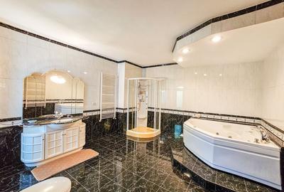 Vanzare casa/vila care refuza trecerea timpului - Zona Capitale - 9