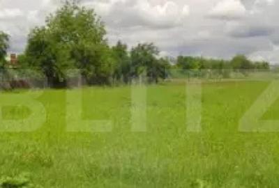 Teren extravilan la pttincipala Calea Lugojului 5000 mp
