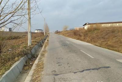 Teren de 10000 mp, în Pielești - 2