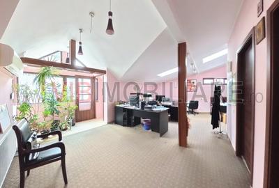 Unirii - Parcul Carol - Str Gramont - Birouri - 5 camere - mobilate/utilate- cen - 11