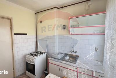 Apartament cu 3 camere semidecomandat în Podgoria - 11