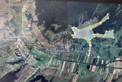 Teren de 480000 mp, în Prunișor - 7