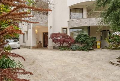 Vila mobilata utilata Iancu Nicolae - 3