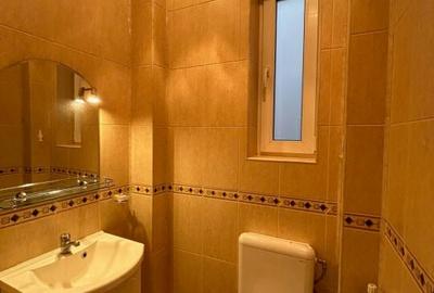 Casa individuala, gradina, Dorobanti, metrou Piata Romana Casa individuala, gradina, Dorobanti, metrou Piata Romana - 12