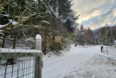 Casa de Vacanta in Bucovina! Munte - Rarau! De ! 0727817187 - 28