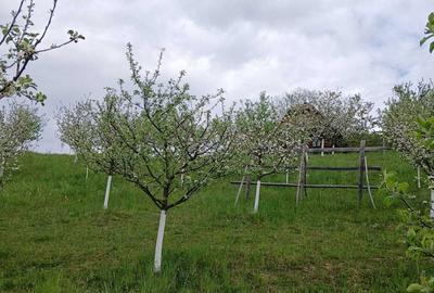 Spațiu comercial, în Valea - 2