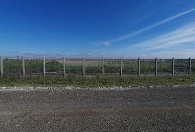 Dumbravita teren industrial 2581 mp Dumbravita teren industrial 2581 mp - 2