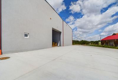 Hala 209mp Exterior Nord - 7