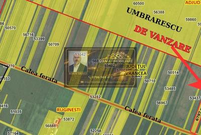 Teren agricol extravilan de 6797 mp, în Ruginești - 1