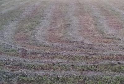 Spațiu comercial, în Cărpiniș - 30