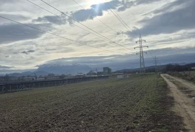 Spațiu comercial, în Colonia 1 Mai - 4