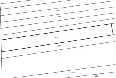 Teren de 1000 mp, în Central - 3