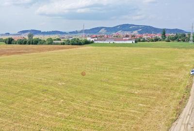 Teren Destinatie Industriala Teren Destinatie Industriala - 2