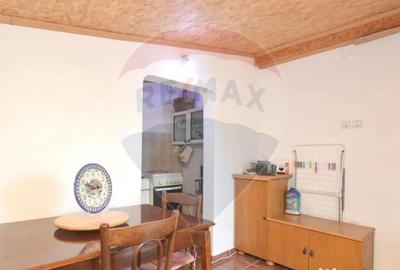 Teren de 1944 mp, în Dărăști-Vlașca - 12