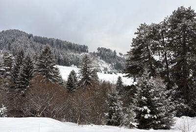 Teren de 580 mp, în Turcheș - 6