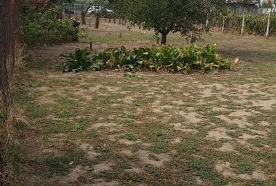 Teren de vânzare Jilava aproape de podul de la Centură, 800 mp, utilitati - 3