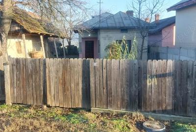 Casă în Vulpeni - 2