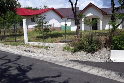 Casuta cocheta langa Valenii de Munte - 2