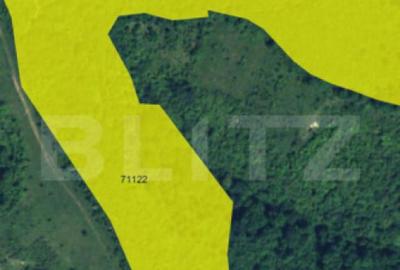 Teren extravilan, 16 ha cu padure ?i vedere panoramica ?? - 6