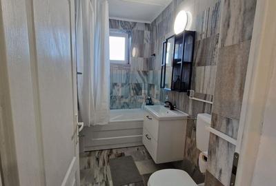 Apartament cu 2 camere semidecomandat, mobilat în Valea Borcutului - 8