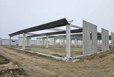 Vanzare hale/depozite/productie -industrial-Chitila - Rudeni, ILFOV - 26