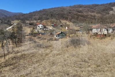 Teren de 1550 mp, în Cetate