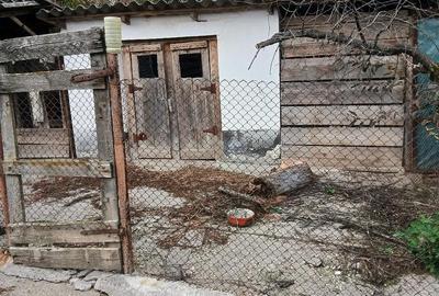 Casă cu Teren 2600 Mp în Buduslău - 2
