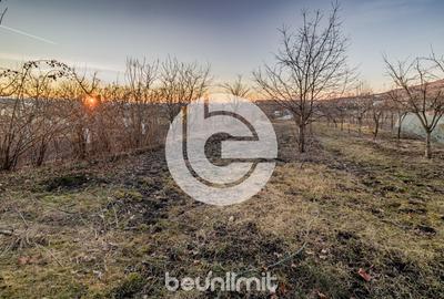 Casa individuala Sibiu - Un singur nivel - Teren 1310Mp - 2 fronturi - 17