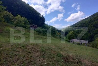 Casă cu 3 camere cu Teren 25000 Mp în Năsăud - 2