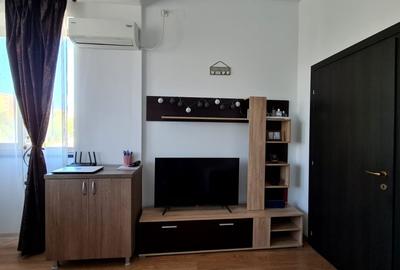 Apartament de inchiriat Tatarasi 500 euro - 10