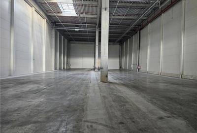 Spatiu Industrial - 1500 mp - Logistica - Productie - Depozitare - 14