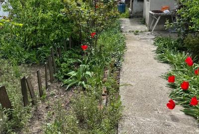 Spațiu comercial, în Băneasa - 4