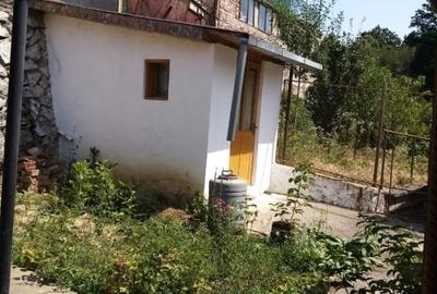 Casă bifamilială foarte bine întreținută, cu facilități bune - 6