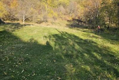 Teren de 950 mp, în Central - 1