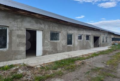 Spațiu comercial, de 200 mp, în Industrială - 1
