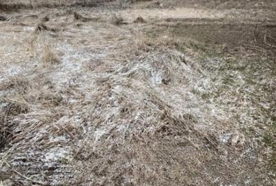 Teren în Dezmir - 1