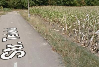 Teren de 5300 mp, în Poiana lui Stângă - 1