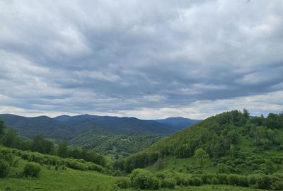 Spațiu comercial, în Central - 4