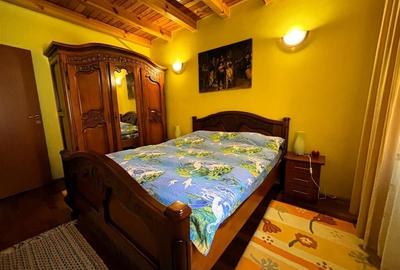 Vila Exclusivista Piatra Arsa Busteni - 10