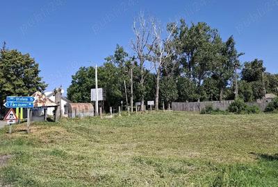 Teren de 1200 mp, în Hăbășești - 4