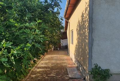 Casă de vanzare S+P+M, 6 camere, teren 1500 mp - 2