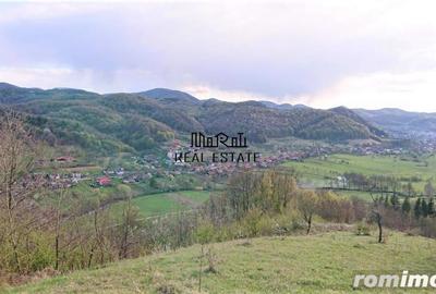Teren de 69237 mp, în Criș - 4
