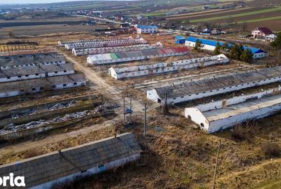 Teren de 39600 mp, în Traian - 3