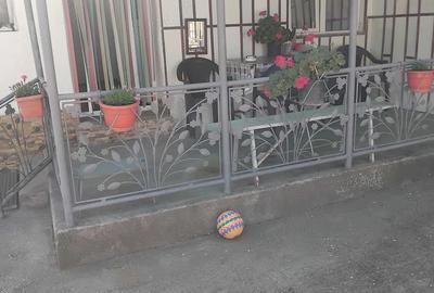 Casă cu Teren 1328 Mp în Macea - 6