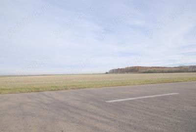 Teren de 270000 mp, în Gherghița - 3