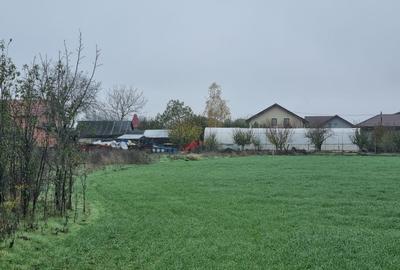 🏡 Teren de vânzare – Ciorogârla, Ilfov - 1