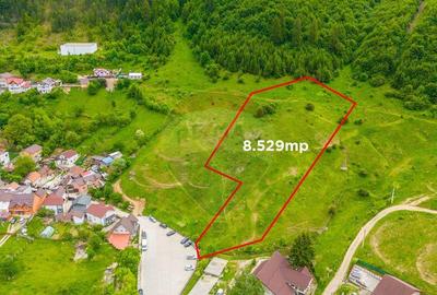 COMISION 0% Teren de 8529 mp/Bunloc/Intravilan - 1