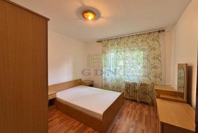 Apartament cu 2 camere decomandat, mobilat în Brazda lui Novac - 3