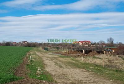 Teren Construcții intravilan de 10000 mp, în Săftica - 10